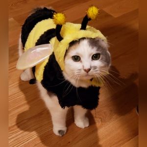 Bumblebee Costume size small pre-owned